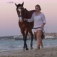 Girl Walking Horse On Beach At Sunset With Lights - VideoHive Item for Sale