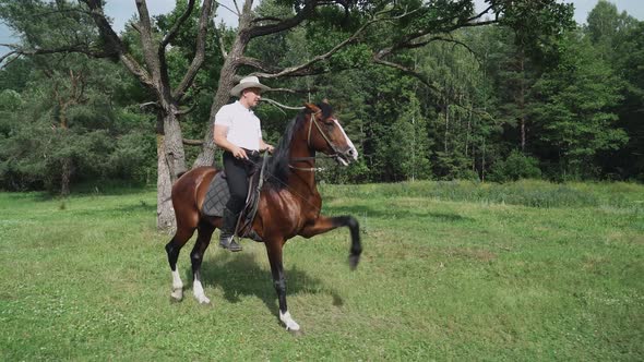 Cowboy in a Hat Rides a Horse in a Clearing Near the Forest, Horse Walks with a Spanish Gait