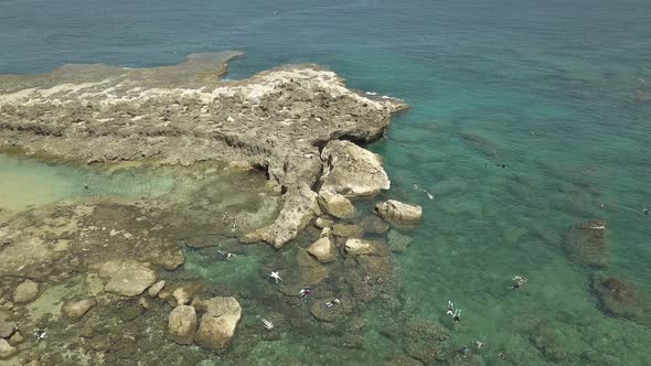 Aerial view of swimmers enjoying the clear water at Sharks cove 2