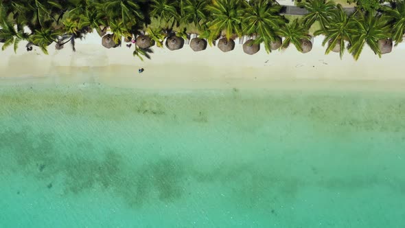 Beach along the waterfront and coral reef and palm trees, Mauritius, Africa, Pier near the beach of