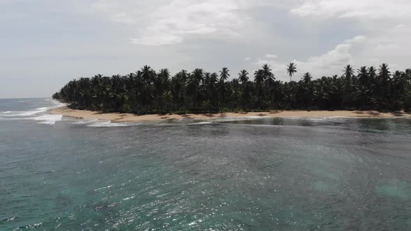 Tropical Vacation in Dominican Republic Beach with Palm Trees Sun