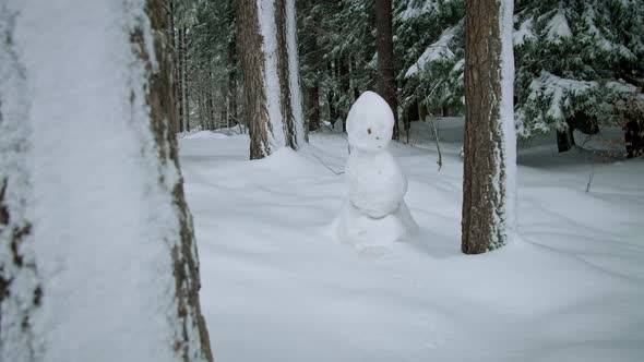 Snowman Behind a Tree in a Winter Forest