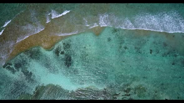 Aerial tourism of relaxing bay beach wildlife by blue green ocean and white sand background of a day