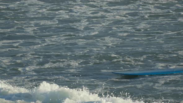 A young woman surfing in a bikini on a longboard surfboard.