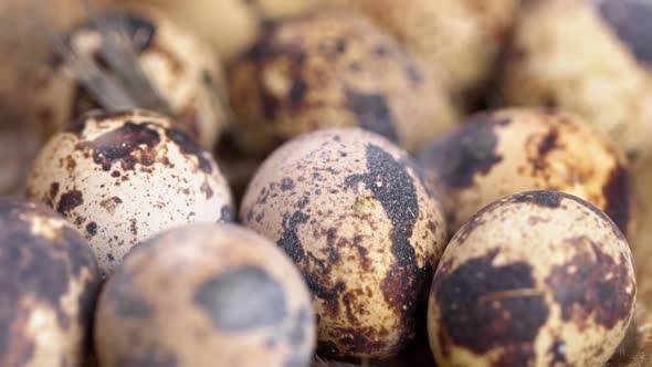 Uncooked Quail Eggs in Pack