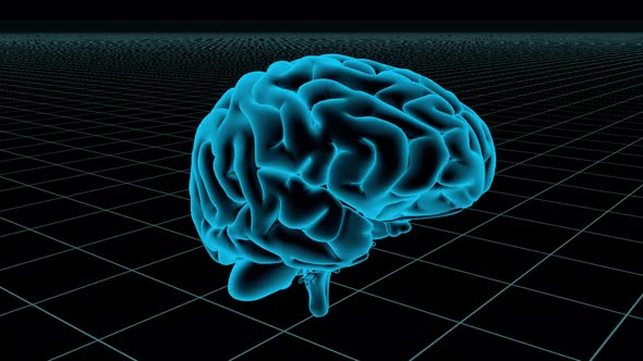 3D Animated Seamless Loop Of A Human Brain