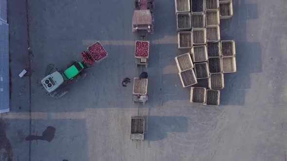 warehouse workers are preparing an empty crate for apples.