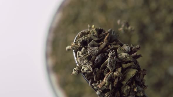 Green tea gunpowder. Dried rolled leaves in a metal spoon close-up. 