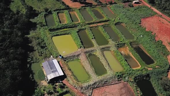 Amazing high aerial view of fishing ponds on a plot of land in a fish farm in the rural Tocantins re