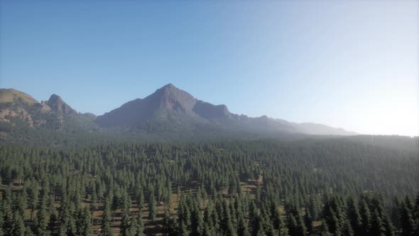 Majestic Mountains with Forest Foreground in Canada alt