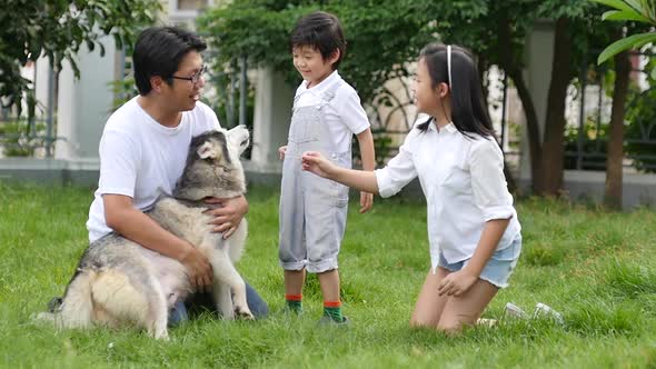 Happy Asian Family Playing With Siberian Husky Dog In The Garden Slow Motion