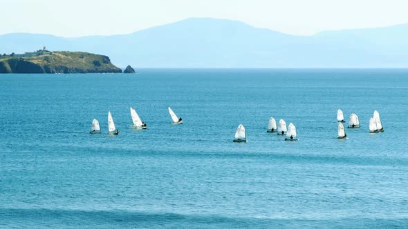 Sailboat Training