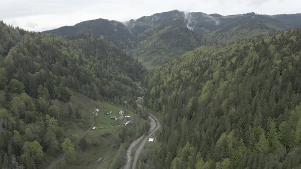 Ukraine, Carpathian Mountains: Beautiful Mountain Forest Landscape, Aerial, Flat, Gray