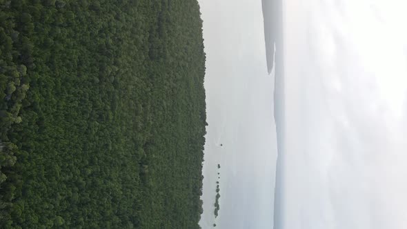 Zanzibar Tanzania  Coast of Island Covered with Thickets Slow Motion