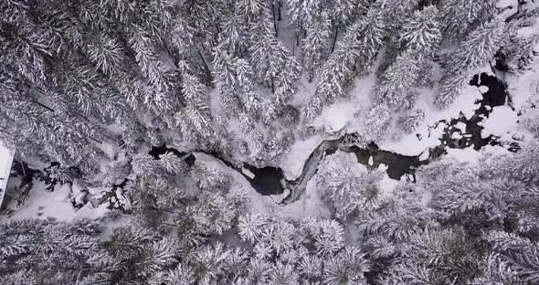 Aerial view of the creek in mountains in snowy winter