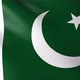 Flag of The Pakistan - VideoHive Item for Sale