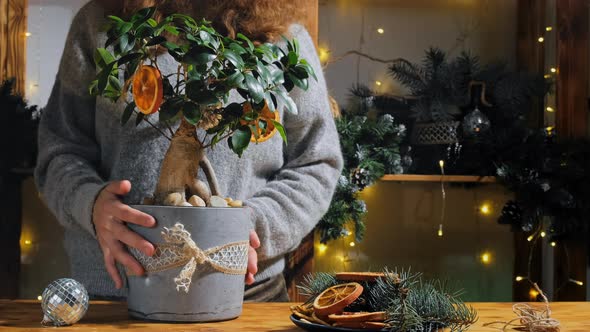 Young Woman Makes Christmas Ikebana