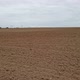 Plowed Field Prepared for Sowing with Winter Crops - VideoHive Item for Sale