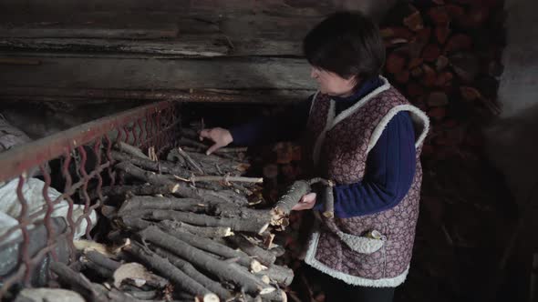 An Elderly Woman in an Old Abandoned Barn Gathers a Handful of Firewood