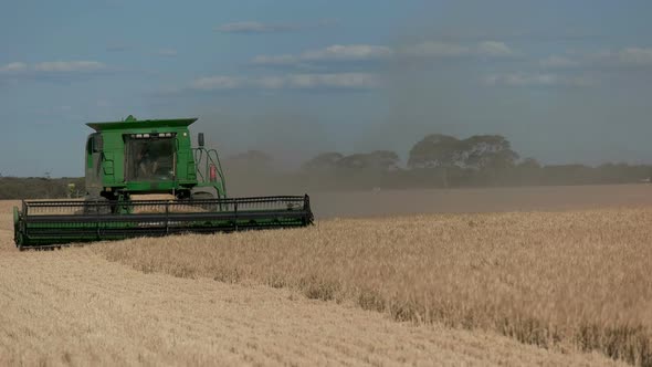 side on view of a barley harvest in western australia