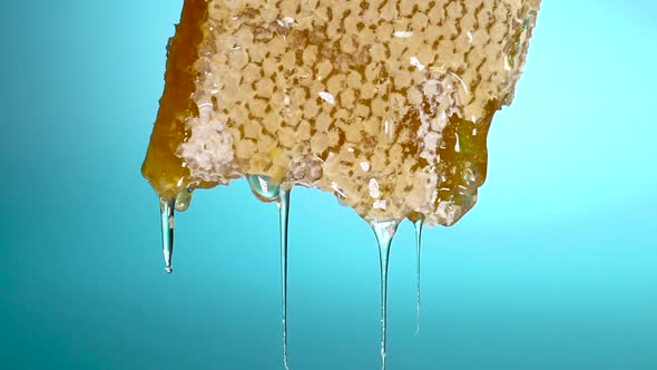 Honey drains