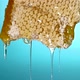 Honey drains - VideoHive Item for Sale