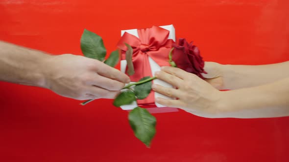 Hand is giving presents to woman on red background