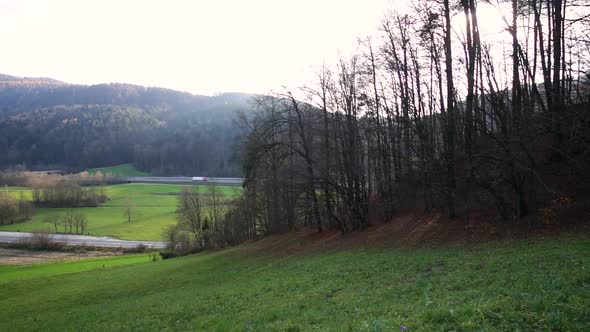 Small forest on the hill without leaves