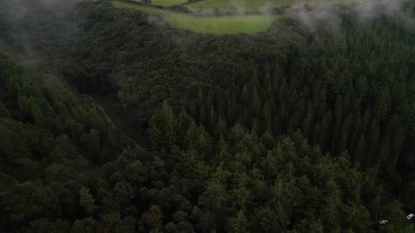 Aerial shot of foggy woodland deep in the countryside, establishing shot of pathway