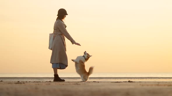 Stylish Woman Training Corgi Dog While Standing on Seashore During Golden Sunset Spbi