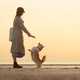 Stylish Woman Training Corgi Dog While Standing on Seashore During Golden Sunset Spbi - VideoHive Item for Sale