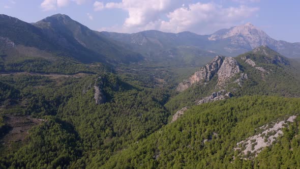 Green Forests on Mountain Hills