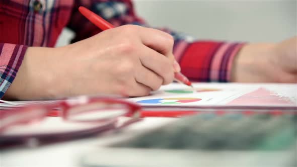 Accountant  Businesswoman Working