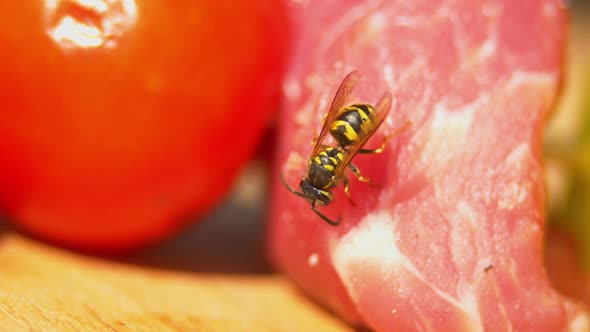 One Wasp Eats Part of Chicken or Pork for Barbecue on Cutting Board, Close Up