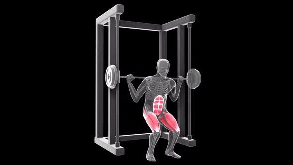 Squat Multipower