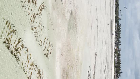 Vertical Video of the Ocean Near the Coast of Zanzibar Tanzania Aerial View