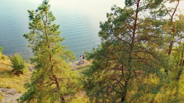 Amazing view through the pine trees on the blue sea outdoors.