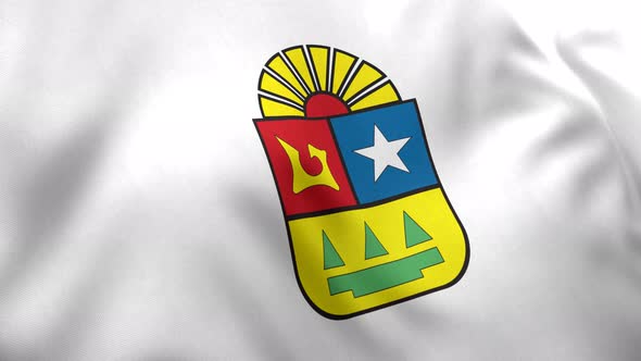 Quintana Roo Flag (Mexico) - 4K