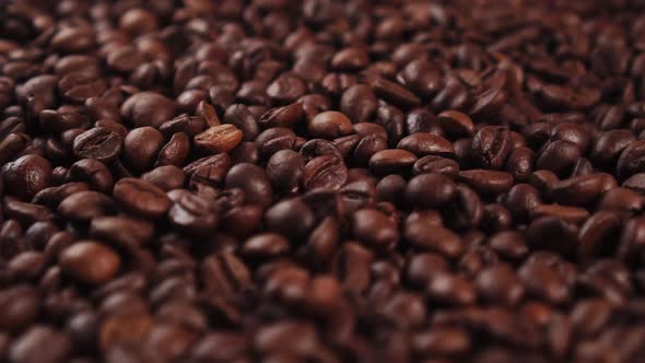 Coffee beans. Closeup rotation and fall.