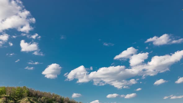 Green Field and Blue Sky with White Cloud Timelapse