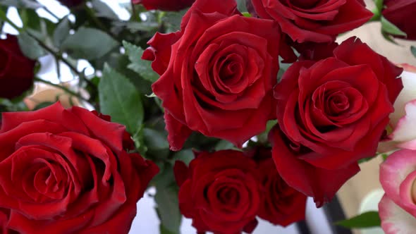 Close-up of a large number of red roses in a flower shop or on a holiday.