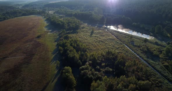 Drone Aerial View Trees Covered in Fog at Sunrise