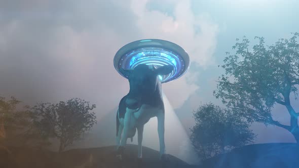 Cow abducted by a UFO on the farm pulling of the alien spacecraft render 3d