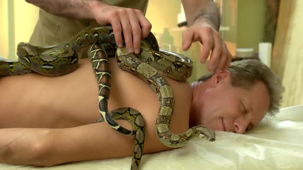 Male Beautician Putting Snake on Mans Back