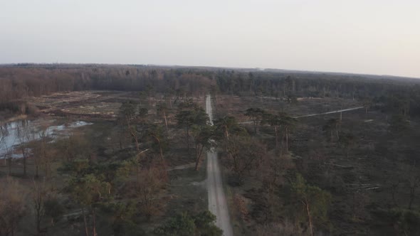 Aerial view of a bike riding a sand lane, Netherlands.