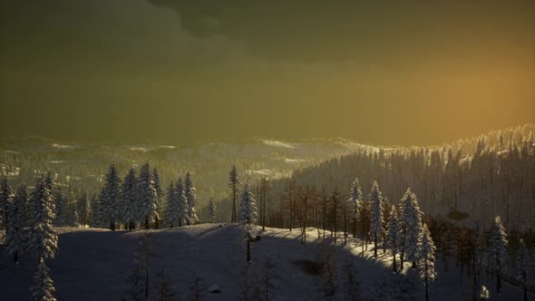 Fog and Snow on Mountain