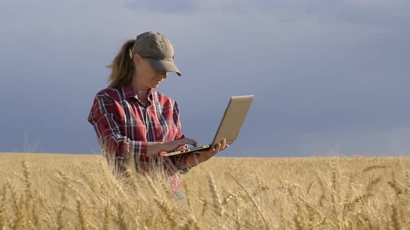 farmer working on a laptop in a wheat field.