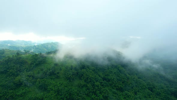 4K Aerial Drone shot flying over beautiful mountain ridge in rural jungle bush forest.