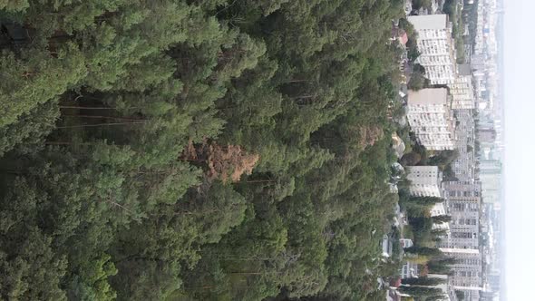 Aerial View of the Border of the Metropolis and the Forest