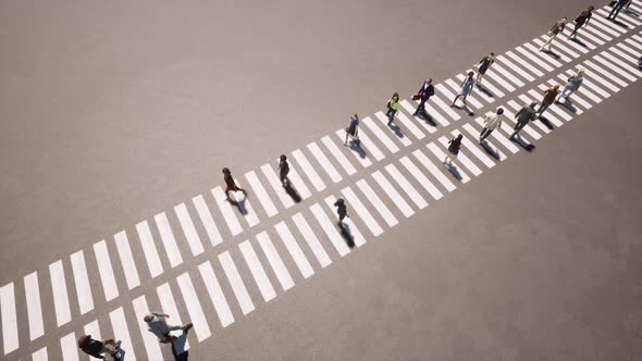 People on Zebra Urban Landscape Highway Road